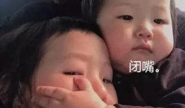 抖音娱乐吃瓜一胖一瘦,一胖一瘦，娱乐界的身材风云