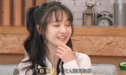 娱乐吃瓜酱女士在线观看,揭秘热门剧集幕后故事