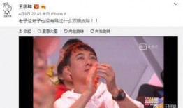 吃瓜娱乐王思聪微博,揭秘娱乐圈幕后故事