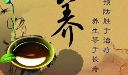 娱乐吃瓜酱中医养生