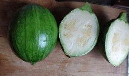 娱乐吃瓜酱属于什么,揭秘娱乐圈幕后故事与热点事件