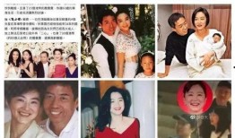 娱乐圈忠实吃瓜会员是什么,揭秘明星幕后故事与八卦风云