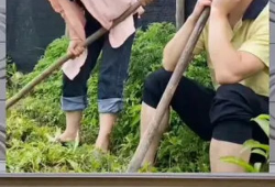 娱乐八卦吃瓜群众的,揭秘吃瓜群众的八卦盛宴