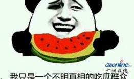 吃瓜群众是什么意思啊,网络时代的围观文化现象