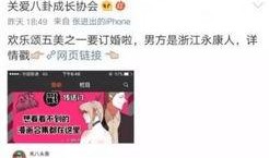 吃瓜系统小说讲解娱乐圈,吃瓜系统下的明星逆袭之路