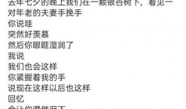 娱乐吃瓜三姐是谁的小说,揭秘娱乐圈背后的秘密人生