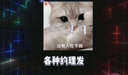 娱乐吃瓜教程在线观看,跟随娱乐教程，在线解锁快乐时光