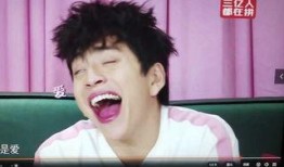 娱乐圈吃瓜爽文沙雕动画,沙雕动画背后的吃瓜盛宴