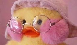 娱乐吃瓜君鸭,揭秘娱乐圈那些不为人知的幕后故事