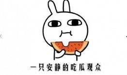 我在吃瓜什么意思,揭秘“吃瓜群众”背后的网络现象