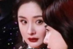 吃瓜的娱乐圈,揭秘明星幕后故事