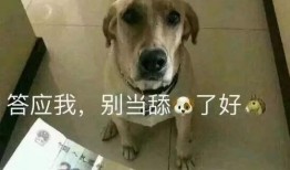 娱乐吃瓜酱舔狗,娱乐界的甜蜜苦涩