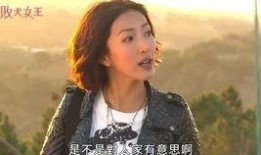 娱乐吃瓜三姐是谁的小说,揭秘娱乐圈背后的秘密人生