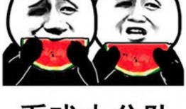 表情包里面吃瓜是什么意思,揭秘网络表情包中的“吃瓜”文化内涵