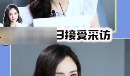 娱乐圈最新的吃瓜网站,揭秘明星背后的惊人真相！