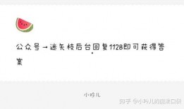 娱乐圈吃瓜爆料文档,揭秘明星背后的故事